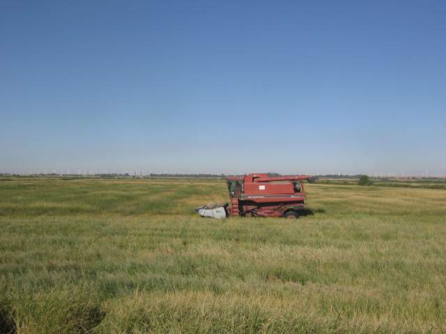 view of field site
