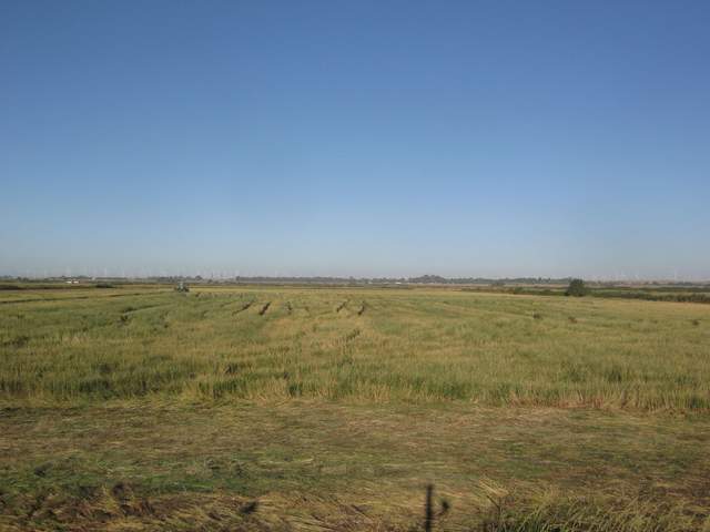 view of field site