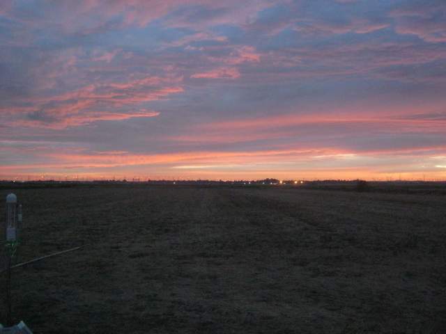 Nice sunset