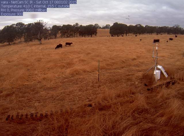view of field site
