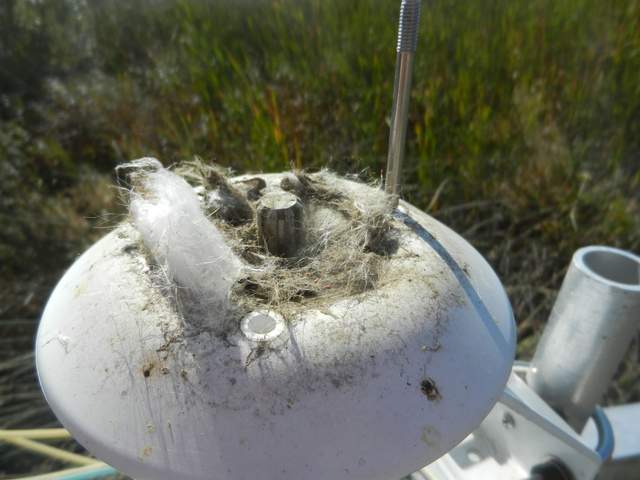 Fan was running slowly and turns out HMP solar shield was stuffed with spider silk and dust. 