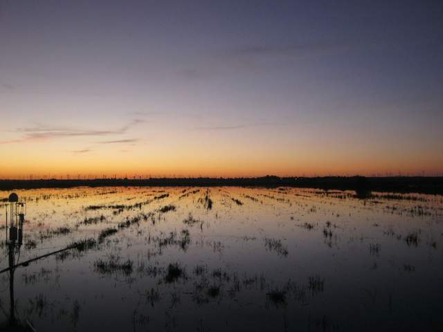 Nice Sunset