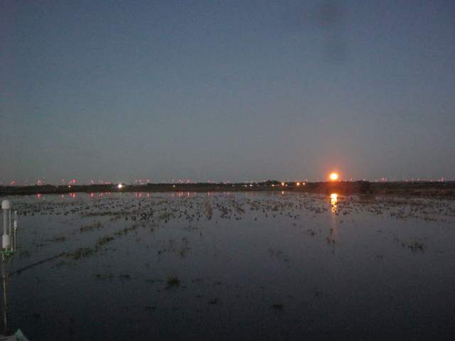 Moon at dawn