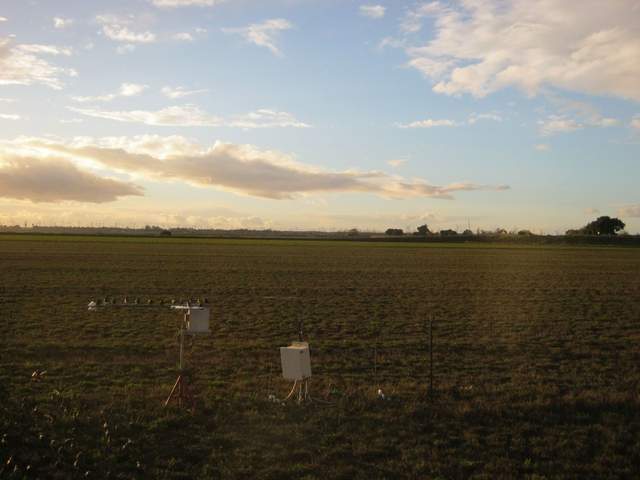 birds on the radiation boom and ground