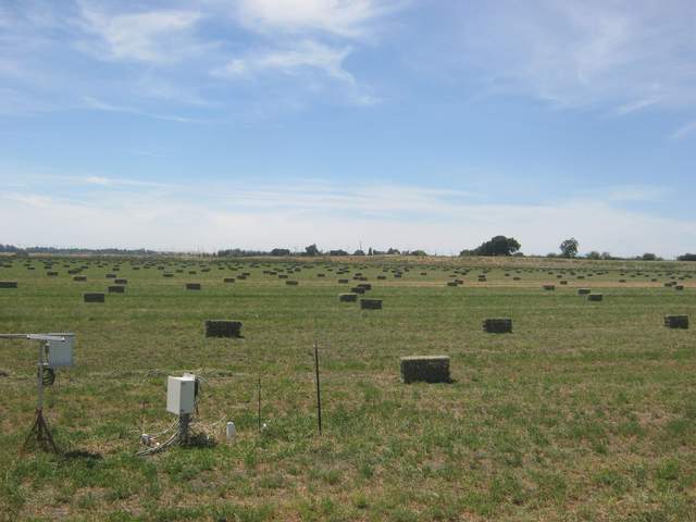 Count the bales
