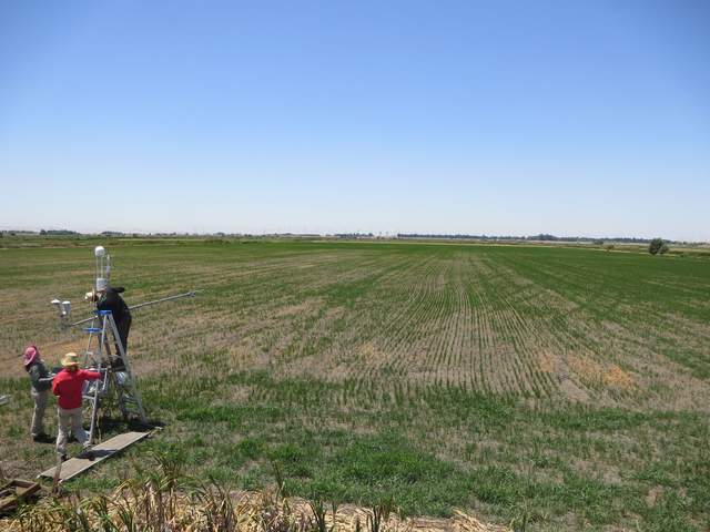Moving tower back into the field