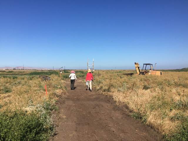 Elke and Alison on site