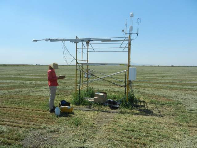 Alison on site
