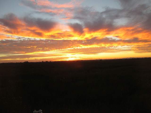 Nice sunset