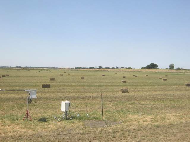 Bales to count