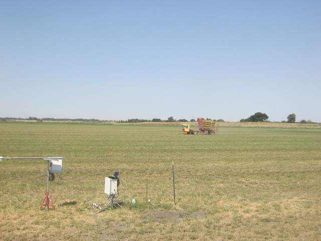picking up bales