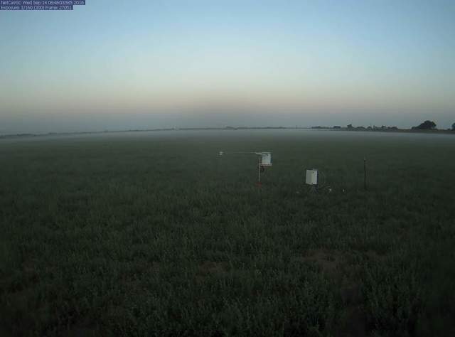 Tule fog