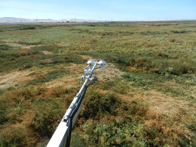 Radiometers over pasture. Flooding as part of the wetland restoration will start next month.