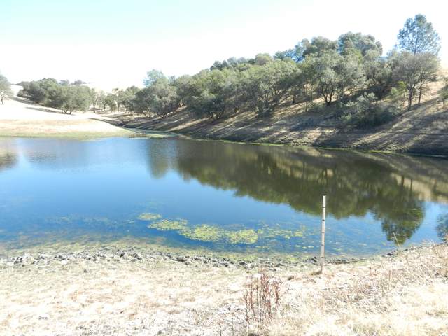 Large pond northeast of our site. The pond is about 22 feet deep and can hold about 24 acre-feet of water. They need to report their water diversion to the state and we will help by measuring the water depth. 