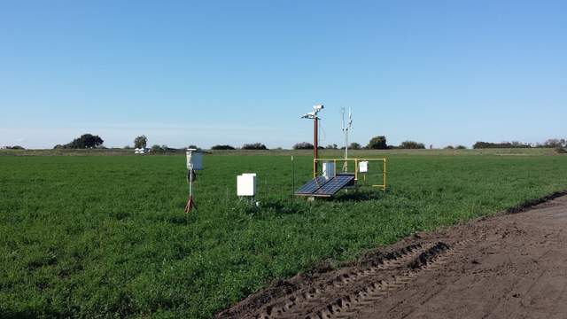 We moved the tower and solar panels in the alfalfa field to just to the north of the soil sensors.