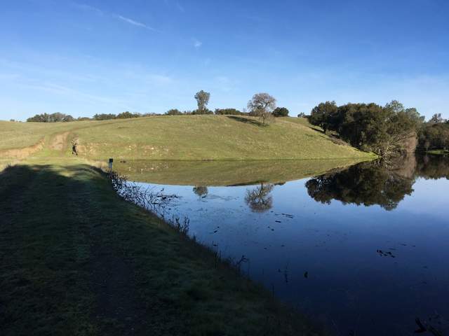 Large pond northeast of our tower site is looking full after winter rains