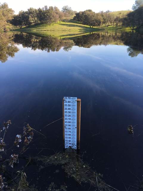 Staff gauge reading at pond