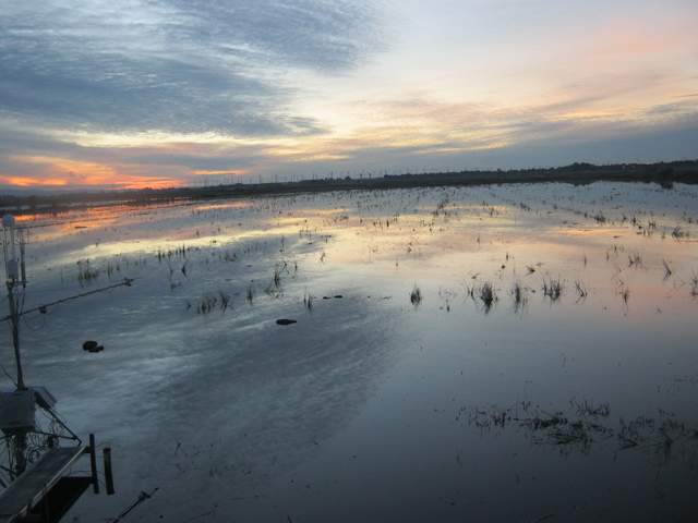 Nice sunset