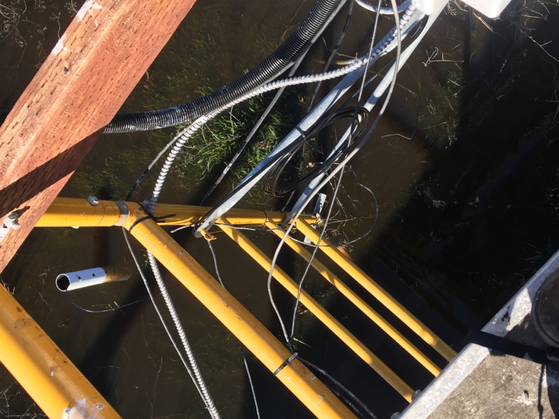 Installed a conductivity probe in the open water off the southwest corner of the scaffolding. No vegetation yet around the tower.