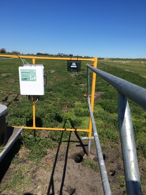 We installed a Pest Soldier, which is an ultrasonic and sonic device designed to keep pests away. We set it on the "rodent" setting to discourage ground squirrels from burrowing by our scaffolding.