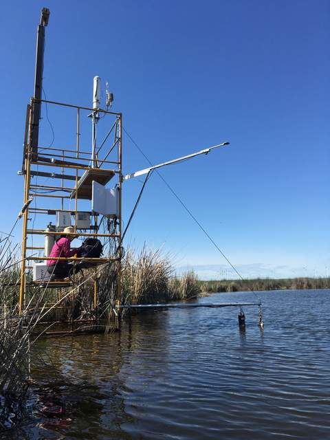 Daphne at Mayberry with water sensors on boom