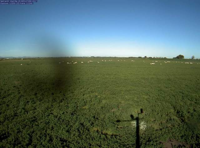 view of field site