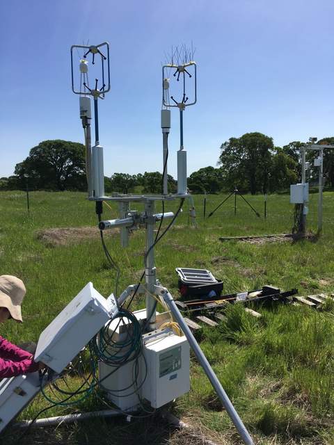 Daphne setting up the Ameriflux inter-comparison