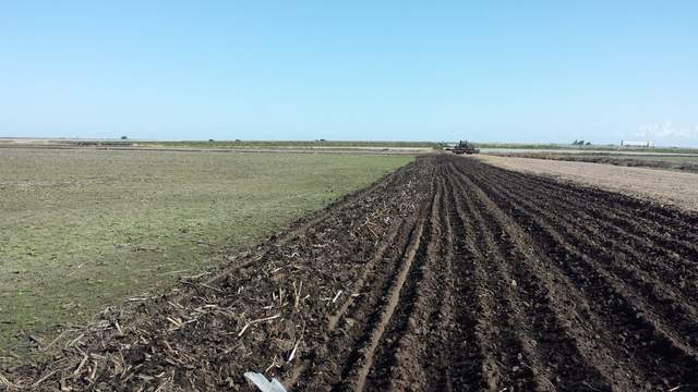 Field to the north