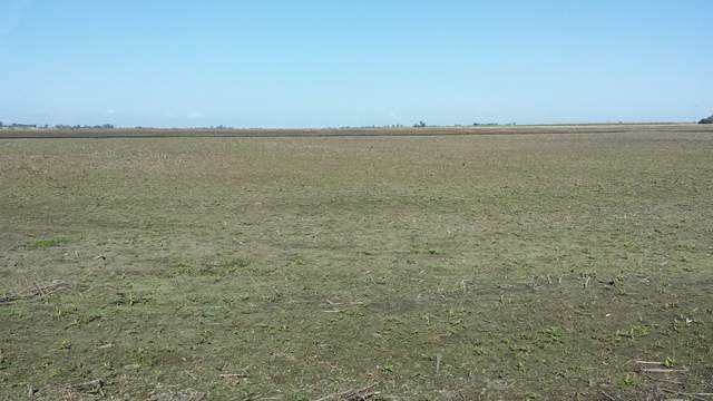 Field to the west - dominant wind direction