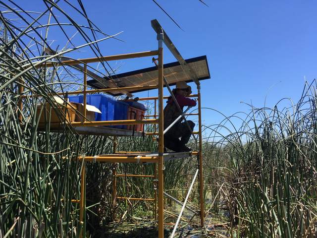 Daphne in progress of upgrading the solar system: new batteries, new 24V solar panels, an additional layer of scaffolding