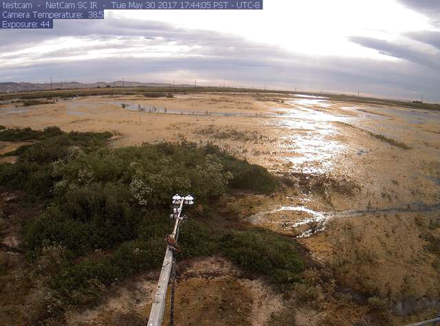 Kestrel on radiometer boom