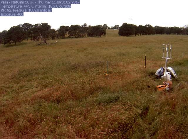 Fieldwork