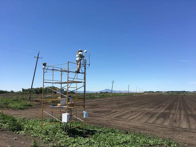 Weeds growing under the tower. Field has furrows but no sprouts yet.