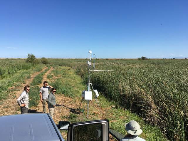 Kyle, Sam, Elke, and Joe setting up the East End Open Water temporary tower.