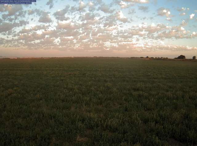 Nice sky