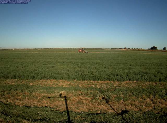 Mowing