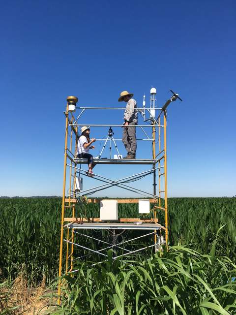 Ada and Kyle taking LI-2200 LAI measurements