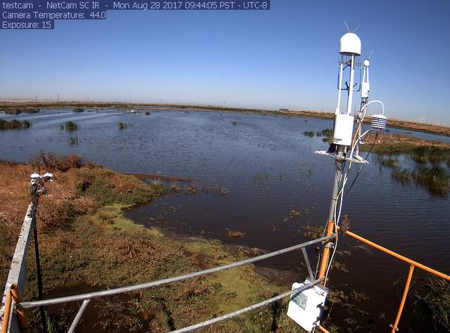 Starlings on radiometers