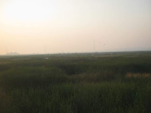 Smoke from Sonoma fires
