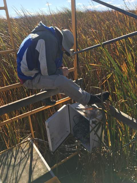 Joe re-splicing NDVI sensors