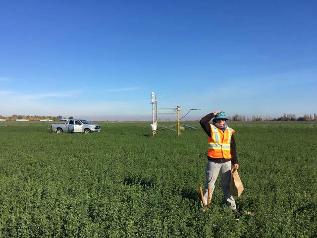 Elke wearing our brand-new safety vests while taking biomass samples.