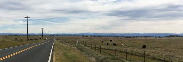 The Sierras were visible all the way out from the Delta