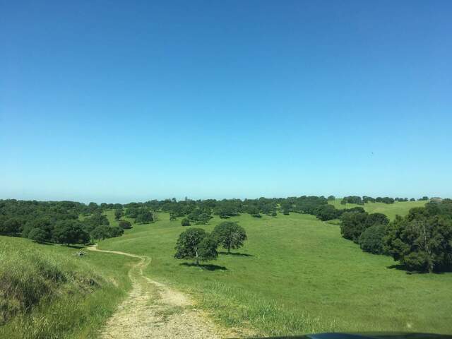 View to the west from the hill near the pond