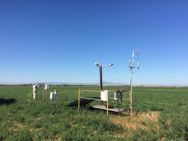Twitchell Alfalfa tower site decommissioning. Ironically, with all the grass/weeds dead, it looks like an alfalfa field again.