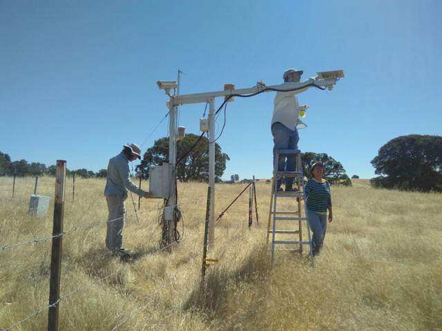 Joe, Dennis and Siyan at the site.