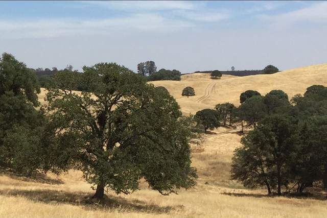 Irish Fire on July 6th, 2018 burned north and east of the pond at