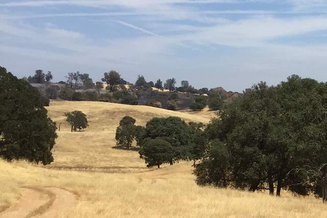 Irish Fire on July 6th, 2018 burned north and east of the pond at Varia.