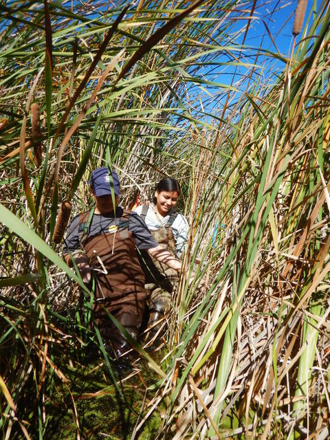 Mishal and Karen swamp stomping.