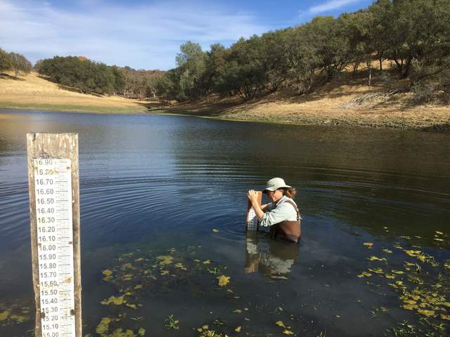 Joe installed one more lower staff gauge in the Varia pond.