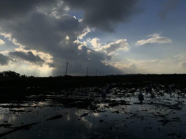 Dramatic stormy clouds and light beams over a flooded corn field.